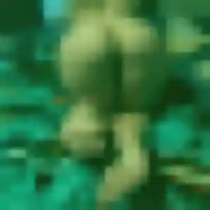 Contacte Clara, 25 ans à Ablon-sur-Seine en privé