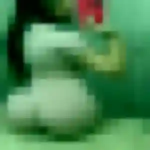Elodie (21 ans) à Albertville cherche un rencontre sexe maintenant