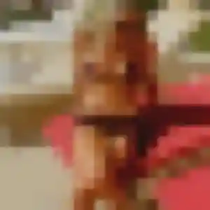 Eva, 31 ans, connectée à Argentan pour un rencontre sexe