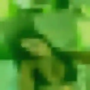 Profil de Aisha à Armentières (35 ans) - rencontre sexe gratuit