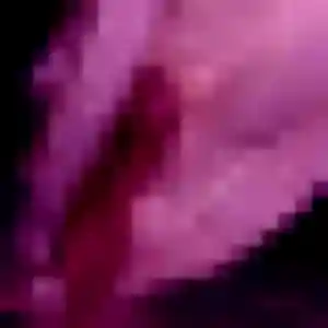 Photo sexy de Zina, 33 ans à Auchel - rencontre sans lendemain
