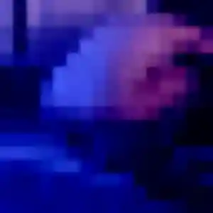 Zara, 42 ans, dispo pour rencontre sexe à Aulnoye-Aymeries