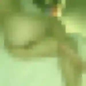 Photo de Khadija à Avion (38 ans) - rencontre sexe sans inscription