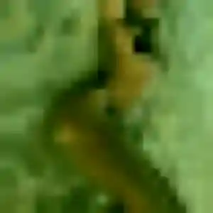Photo de Lucienne à Beaumont-sur-Oise (39 ans) - rencontre sexe sans inscription