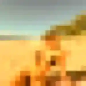 Bettina, 41 ans, veut un rencontre sexe à Biscarrosse