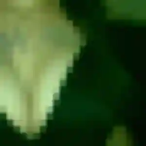 rencontre sexe à Bois-Guillaume : photo de Lilou, 41 ans - accès libre