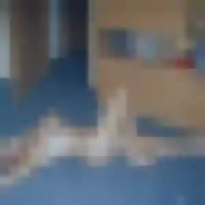 rencontre sexe à Boucau : photo de Perrine, 29 ans - sans engagement