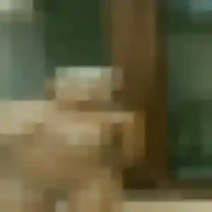 Eugenie, 21 ans, dispo pour rencontre sexe à Castres