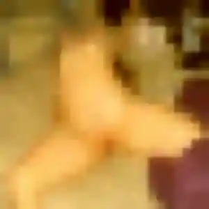 Dounia, 24 ans, dispo pour rencontre sexe à Cesson-Sévigné