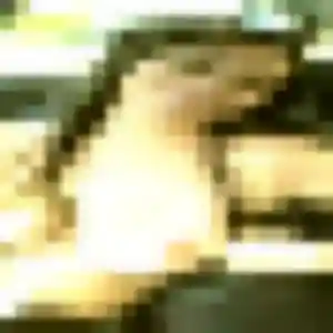 Blandine, 22 ans, en ligne à Cestas pour un rencontre sexe