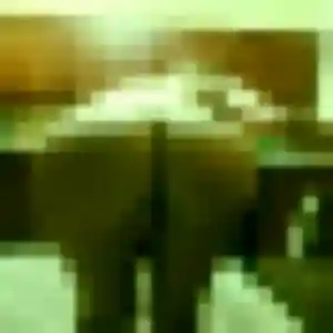 Berenice, 40 ans, disponible à Challes-les-Eaux pour une rencontre coquine
