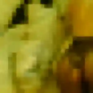 Photo exclusive de Bertrane, 20 ans à Chalonnes-sur-Loire - rencontre coquine