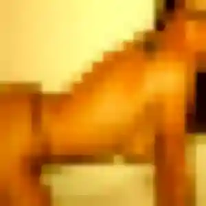 Marie-France, 23 ans, en ligne à Chambray-lès-Tours pour un rencontre sexe