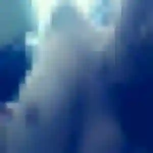 rencontre sexe à Charvieu-Chavagneux : profil de Olga, 27 ans - inscription gratuite