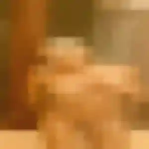 Naomi, 35 ans, connectée à Châteaurenard pour un rencontre sexe