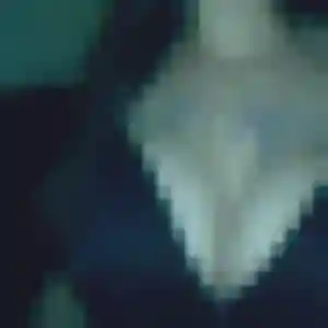 rencontre sexe à Cormelles-le-Royal : photo de Maud, 43 ans - inscription gratuite
