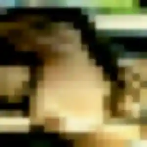 Dina, femme de 34 ans cherche rencontre sexe à Delle