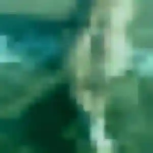 Découvre Emilie, 41 ans à Dol-de-Bretagne gratuitement