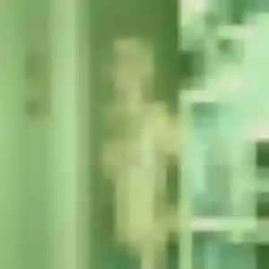 Profil de Florence à Dourdan (37 ans) - rencontre sexe sans inscription