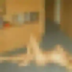Belle Magalie, 27 ans à Douvrin - découvrir son profil