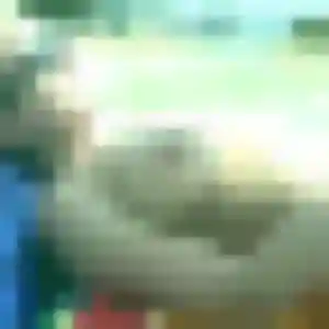 Laure, 38 ans, connectée à Drap pour un rencontre sexe