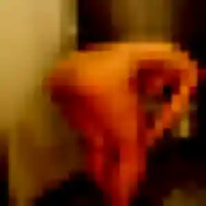 Muriel, fille de 31 ans veut rencontre sexe à Dunkerque