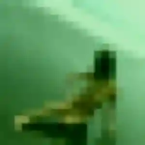 Profil de Virginie à Elven (44 ans) - rencontre sexe anonyme