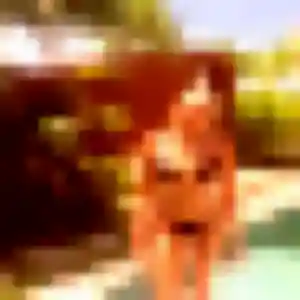 Jessica, 31 ans, dispo pour rencontre sexe à Essarts-en-Bocage