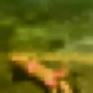 Photo de Brune à Fonsorbes (34 ans) - rencontre sexe discret