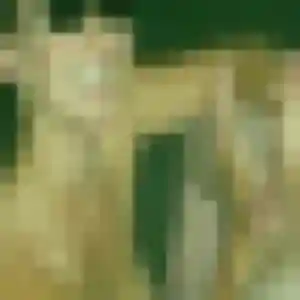 Profil de Leonore à Fonsorbes (42 ans) - rencontre sexe anonyme