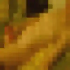 Photo de Zara à Fosses (20 ans) - rencontre sexe sans inscription