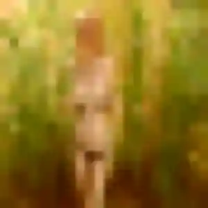 Madeleine (36 ans) à Fouquières-lès-Lens cherche un rencontre sexe aujourd'hui