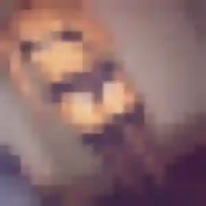 Clarisse, femme de 35 ans cherche rencontre sexe à Fronton