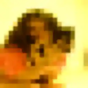 Bettina, fille de 38 ans cherche rencontre sexe à Gambsheim