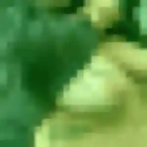 Siham, 40 ans, dispo pour rencontre sexe à Gisors