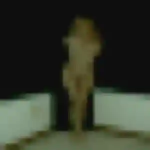 Photo privée de Benedicte, 44 ans à Grabels - rencontre sans lendemain