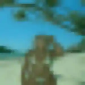 Profil de Inaya à Guilherand-Granges (19 ans) - rencontre sexe gratuit