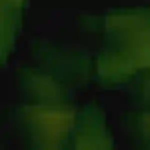 Profil de Sibylle à Herblay-sur-Seine (37 ans) - rencontre sexe anonyme
