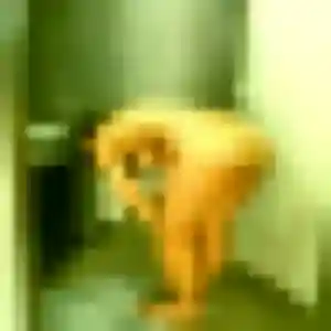 Naomi, 34 ans, connectée à Jeumont pour un rencontre sexe