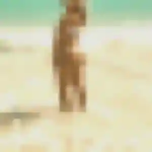 Contacte Olivia, 42 ans à Jœuf gratuitement