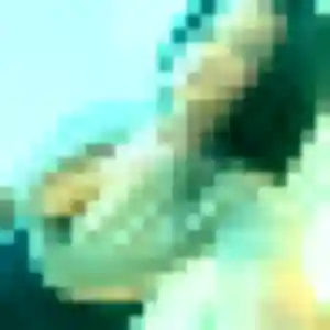 Elodie, 42 ans, dispo pour rencontre sexe à Kembs