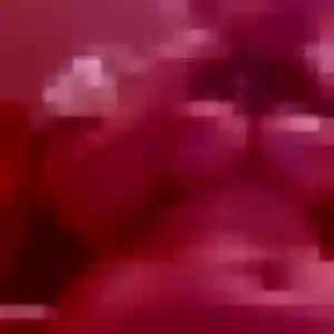 Profil de Benedicte à L'Isle-sur-la-Sorgue (25 ans) - rencontre sexe anonyme