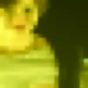 Adelaide, 28 ans, veut un rencontre sexe à La Baule-Escoublac