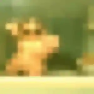 Elodie, 35 ans, connectée à La Madeleine pour un rencontre sexe
