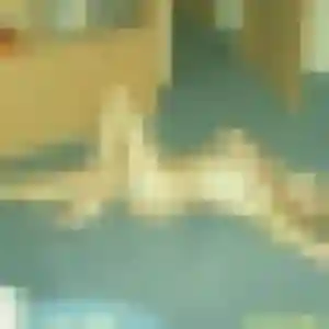 Therese, 33 ans, dispo pour rencontre sexe à La Roche-sur-Yon