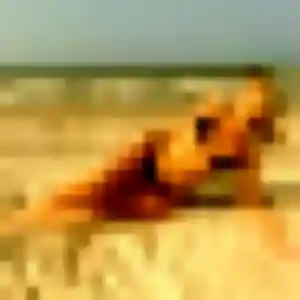 Salima, 37 ans, connectée à La Rochelle pour une rencontre coquine