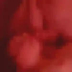 Photo de Sabrina à Lannemezan (36 ans) - rencontre sexe gratuit