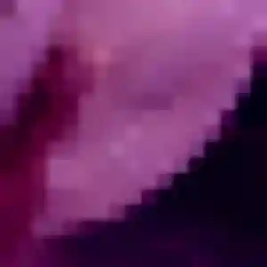 Leila, 36 ans, veut un rencontre sexe à Laudun-l'Ardoise