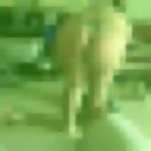 Sexy Monique, 19 ans à Lavelanet - découvrir son profil