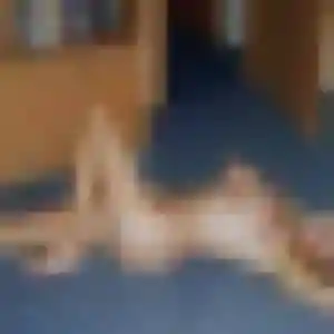 Alix, 20 ans, dispo pour rencontre sexe à Le Plessis-Trévise
